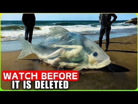 Scientists SURPRISED! They Just Found a $3 TRILLION Treasure 5000m Under The Ocean! Documentary