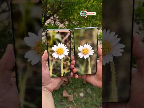 Vivo X200 Series Comparison #shorts