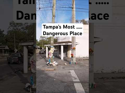 Tampa Florida Most Dangerous Corner