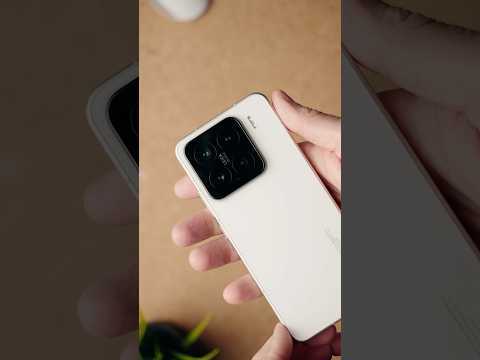 Xiaomi 15 Unboxing &amp; First Look!