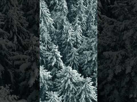 When It’s Too Cold to Snow: The Surprising Truth About Extreme Weather